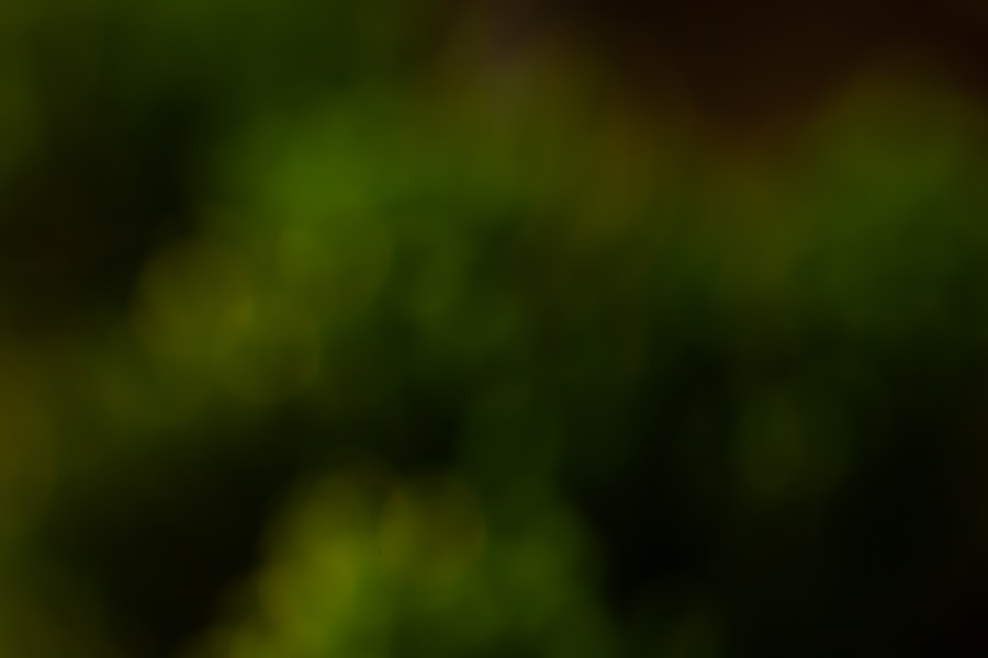 Photo India’s Story