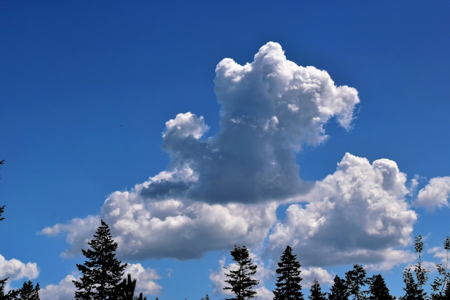 Photo Molecular Cloud