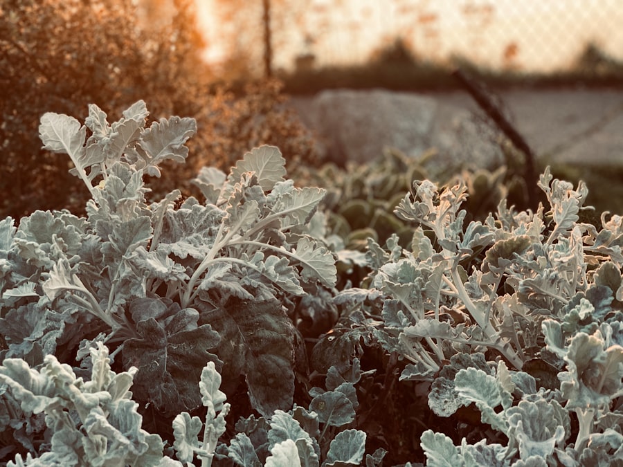Cold Start