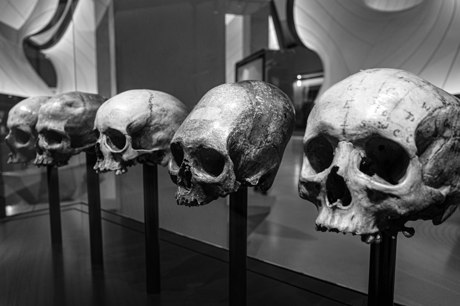 Photo Social Historys Evolution