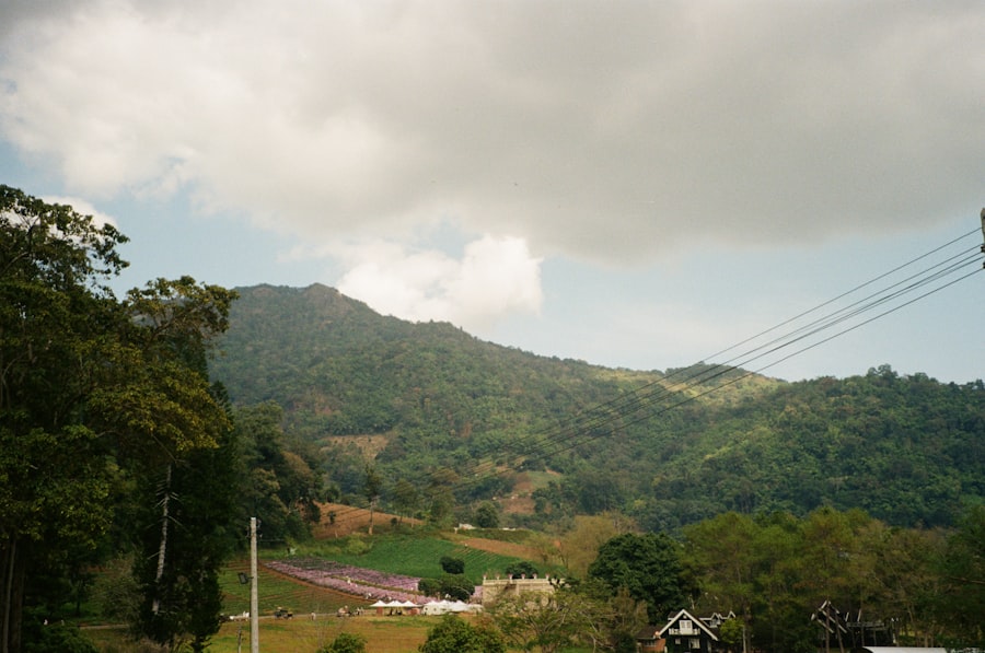 Photo H II Region