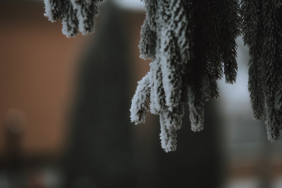 Photo Cold Start