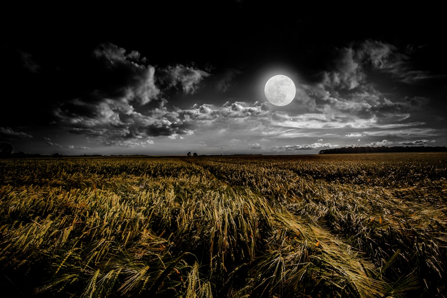 Photo Moon