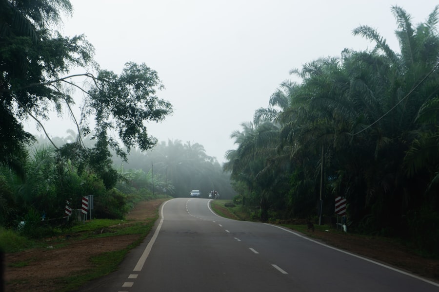 driving school near me