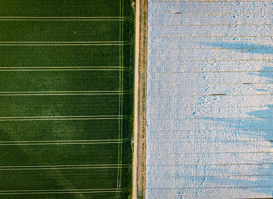 Agricultural Processes