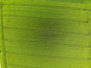 Photo Mint green pie