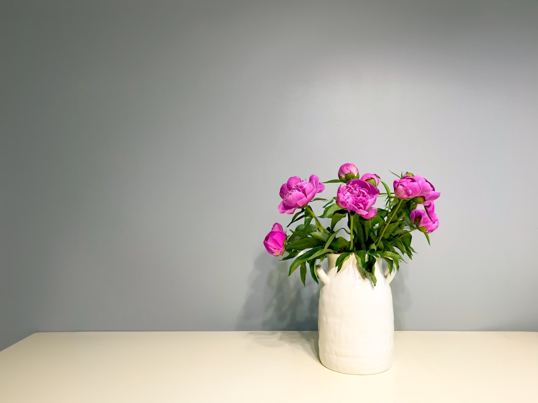 Photo Natures beauty