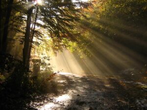 Photo Enlightenment Thinkers