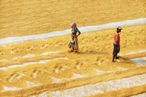 Photo Agricultural revolution