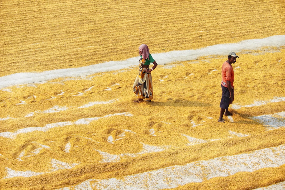 Photo Agricultural revolution