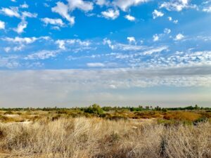Photo Rural landscape