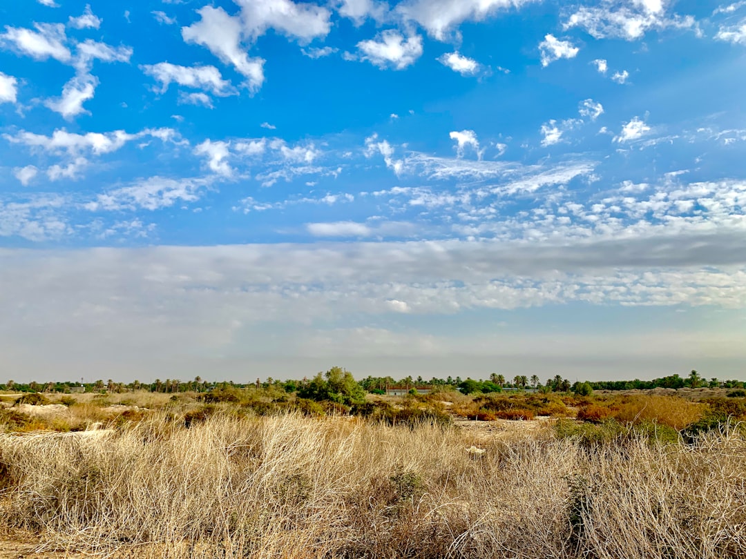 Photo Rural landscape
