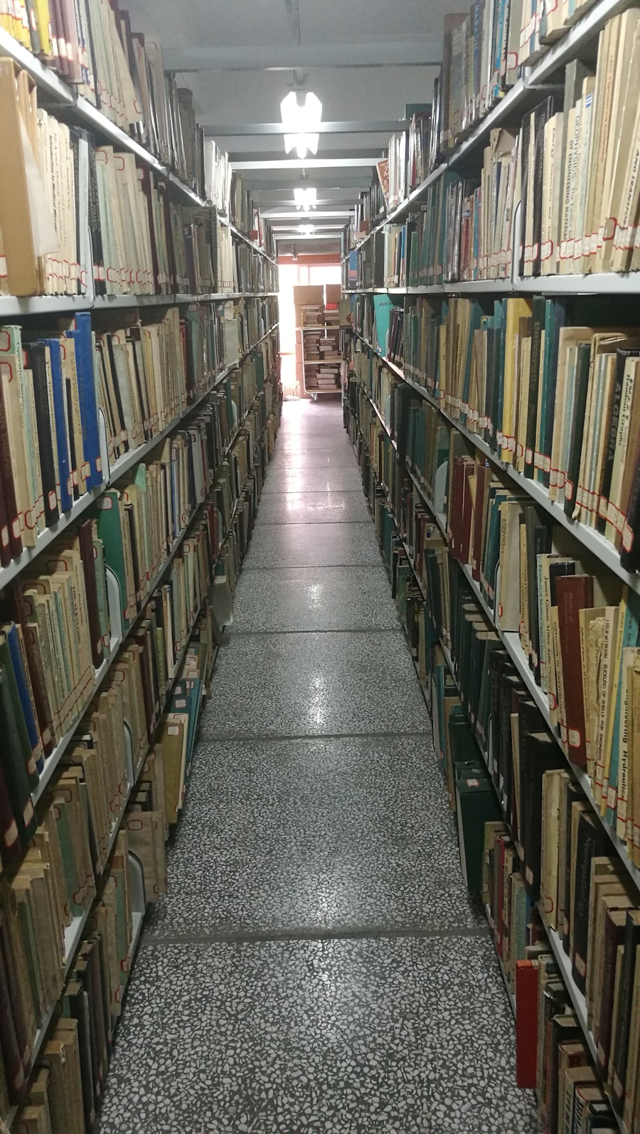 Photo "Principles of Collection Development and Cataloguing"