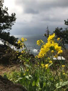 Photo Shelley’s Ode to the West Wind: Nature’s Power