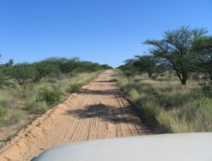 Photo "Ethics and Challenges in Conservation Work"