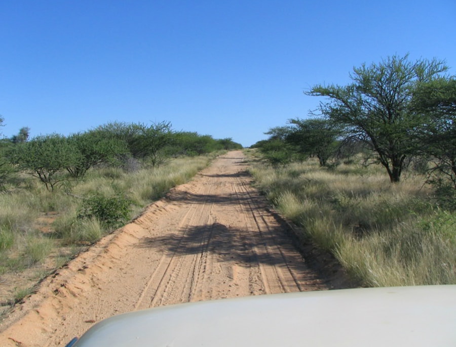 Photo "Ethics and Challenges in Conservation Work"