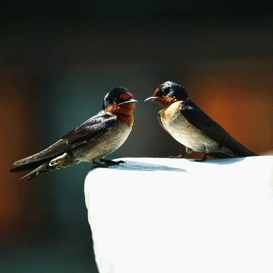 Photo "Communication Basics: Meaning, Nature, and Purpose"