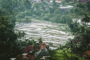 Photo "Role of Agriculture and Surplus Production in Urban Rise"