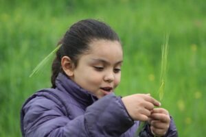 Photo "Defining Education: Meaning, Nature, and Scope"