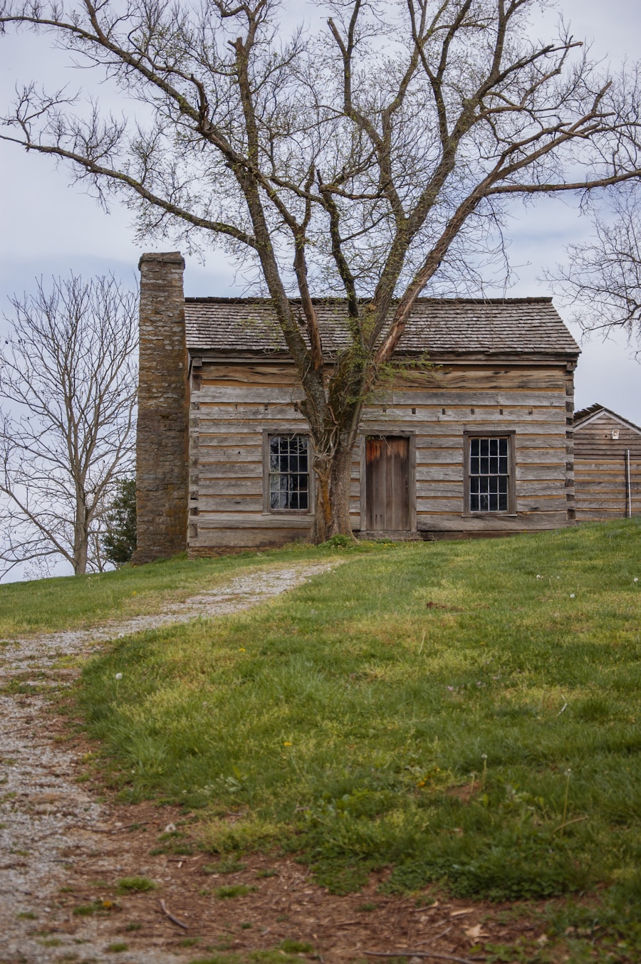 Photo "Administration, Governance, and Features of Early Settlements"