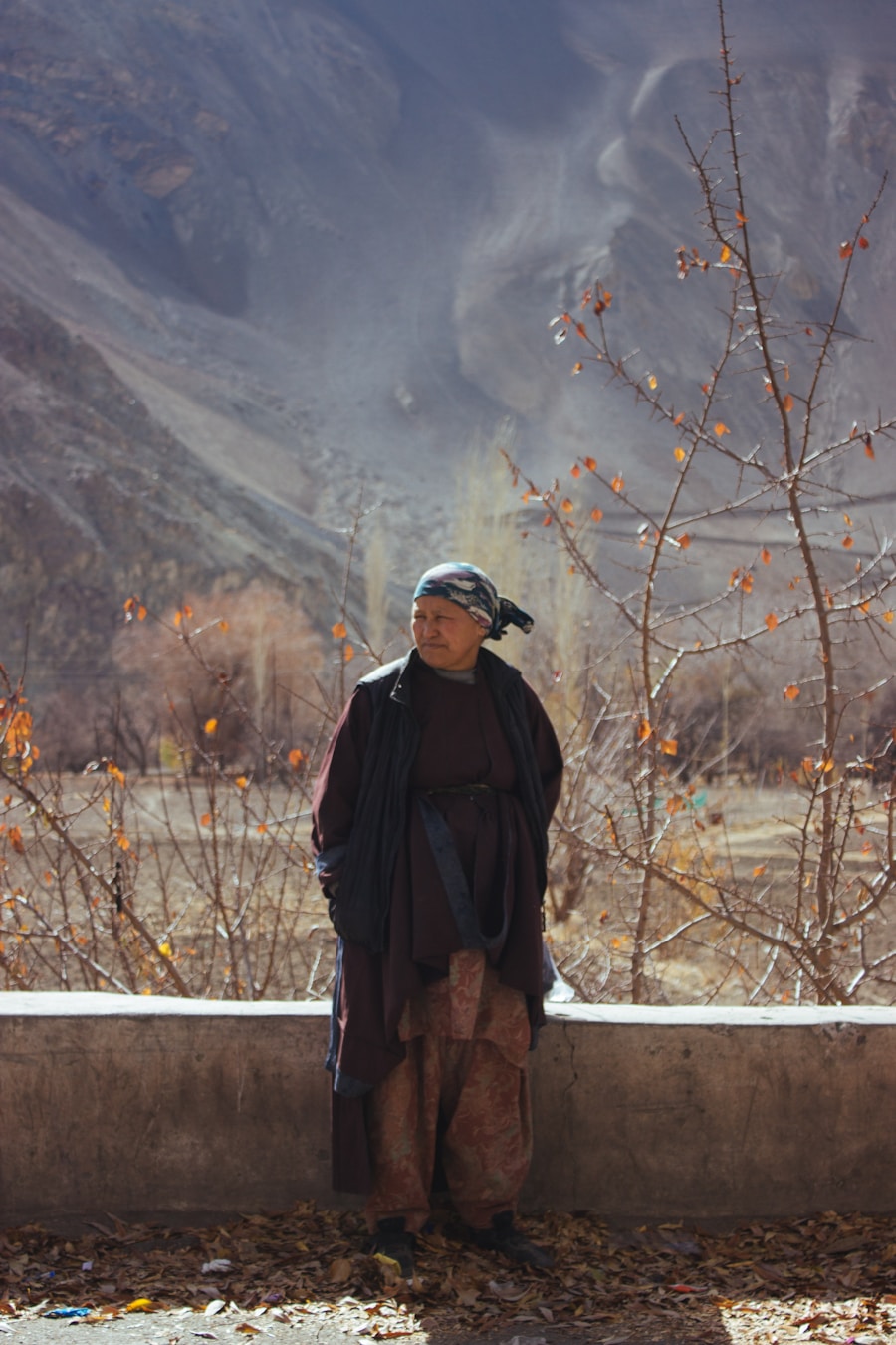 Photo Amitav Ghosh’s The Living Mountain: Nature’s Voice