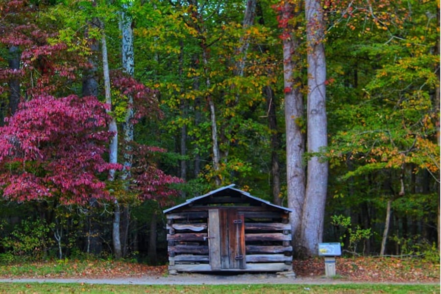 Photo "Thoreau’s Where I Lived: Simplicity and Purpose"