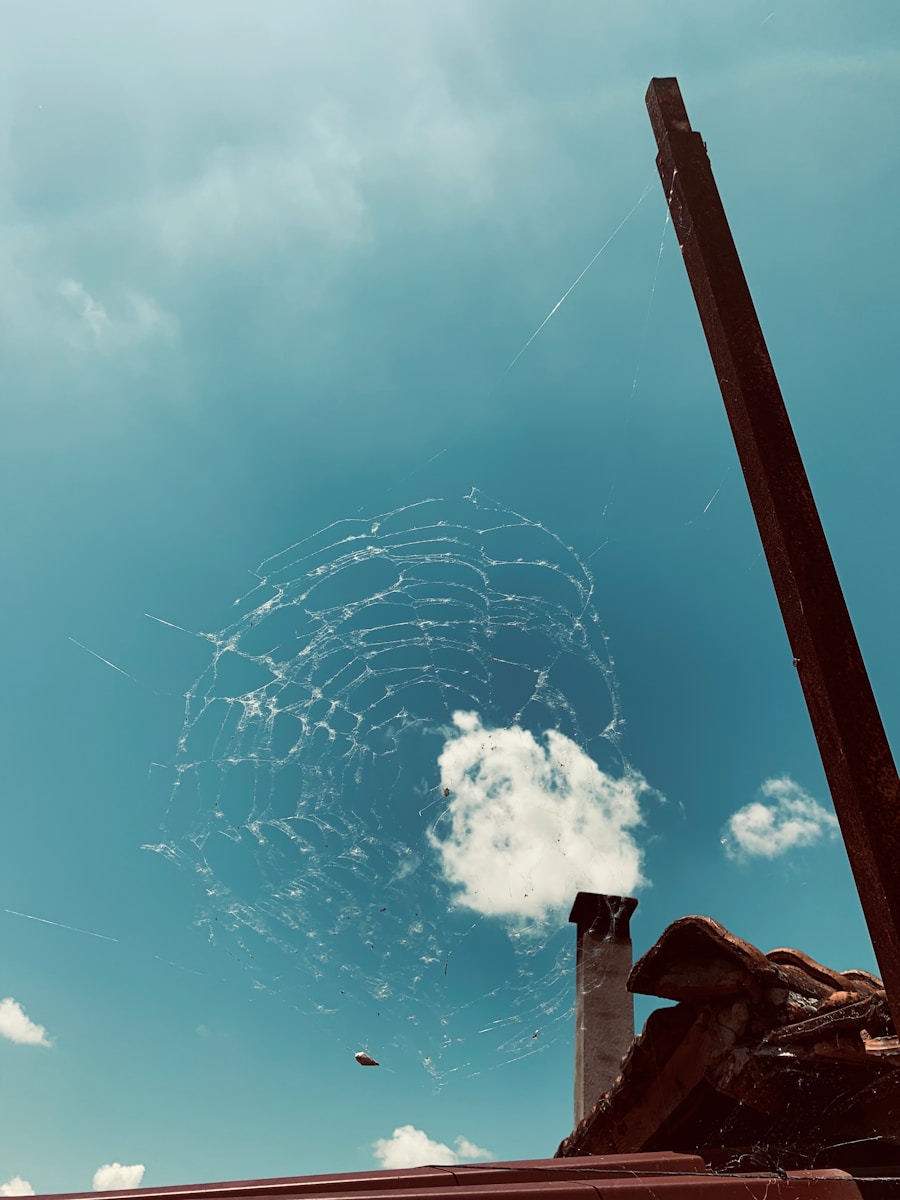 Photo "Crafting Reports: Structure and Style"