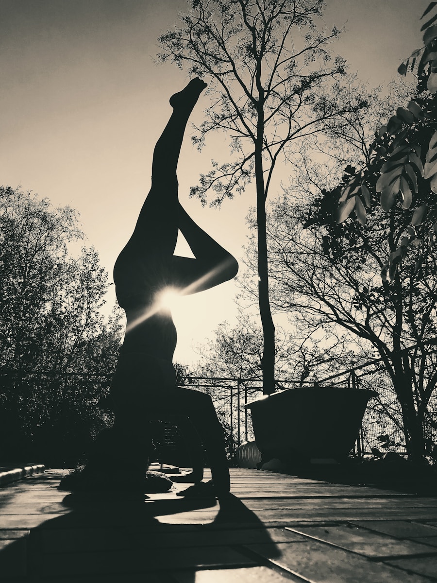 Photo "Philosophy of Yoga and Its Educational Roots"