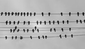 Photo Continuous Integration