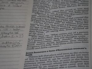 Photo social science research