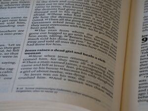 Photo social science dictionary