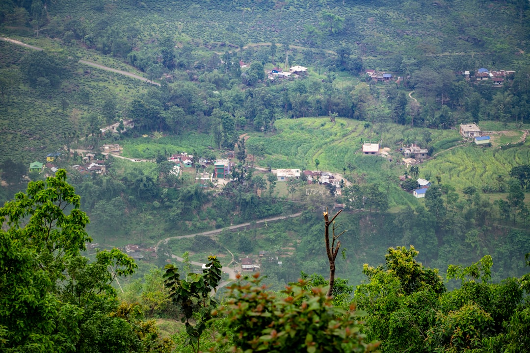 Photo H II Region