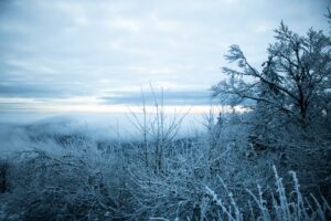 Photo Cold Start