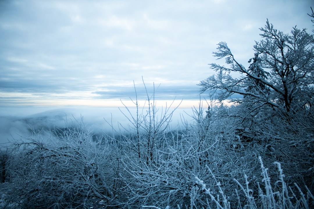 Photo Cold Start
