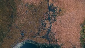 Demarcation and Disputes Over Land