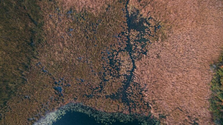 Demarcation and Disputes Over Land