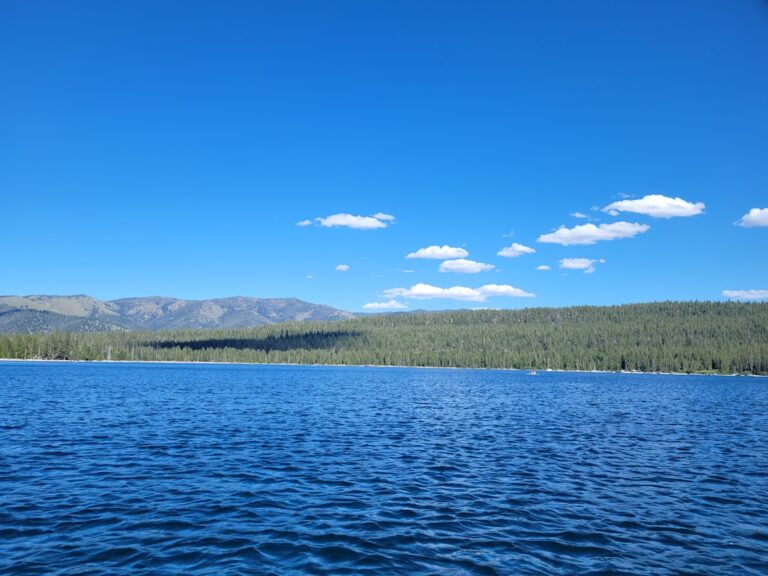 Unlocking the Power of Data Lake