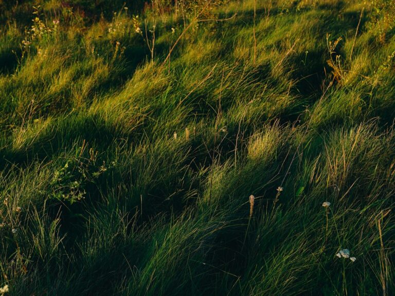 Maximizing Security with Endpoint Protection