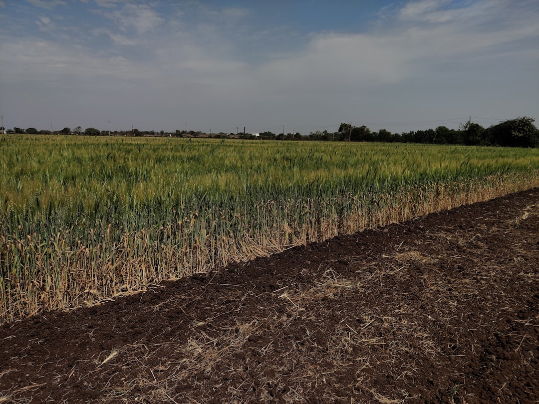 Photo Agricultural Processes