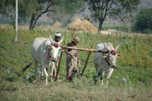 Photo Farming in Ancient India