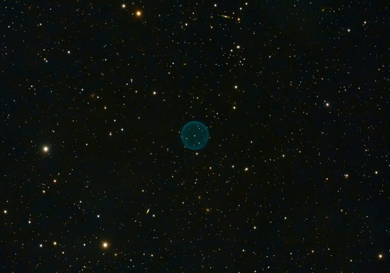 Unveiling the Power of Protostar