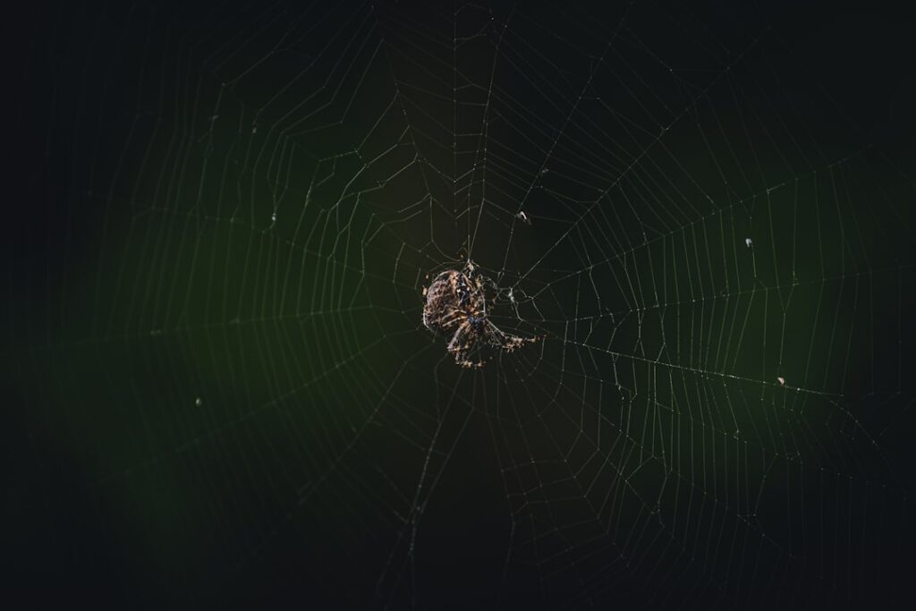 Unveiling the Mysteries of the Cosmic Web