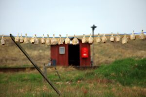 Protect Yourself from Phishing Attacks