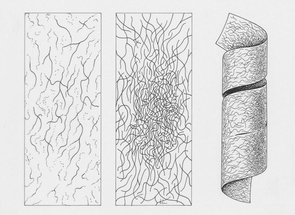 Unlocking the Power of Vectorization