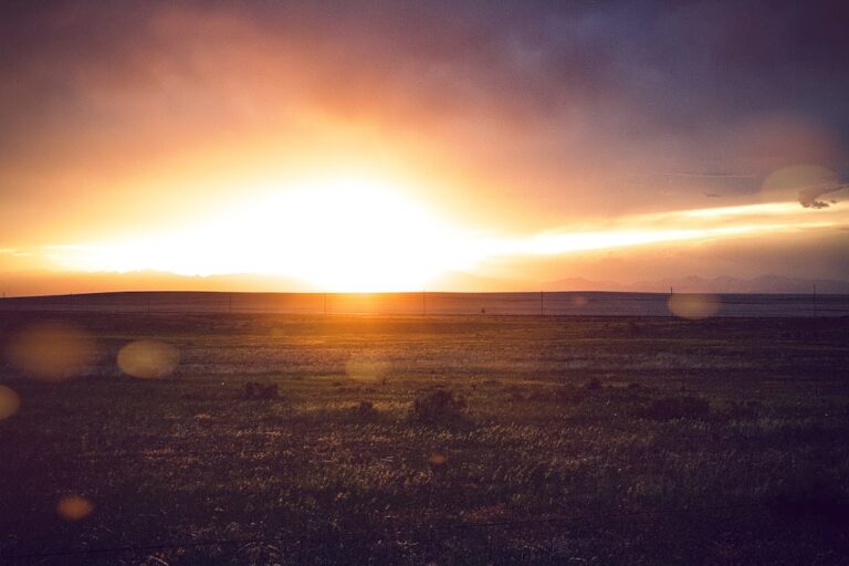 Unraveling the Mysteries of Sunspot Activity